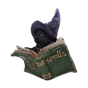 Kitty's Grimoire (Green) 8.2cm