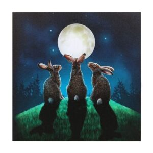 Moon Shadows Light Up Canvas