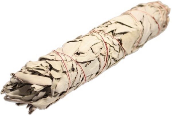 Californian white sage smudge stick for energy clearing
