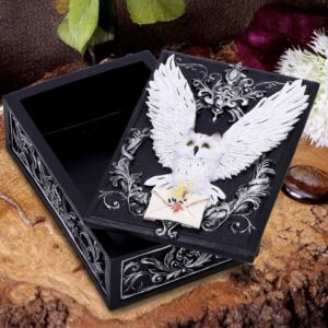 Owl Messenger Box