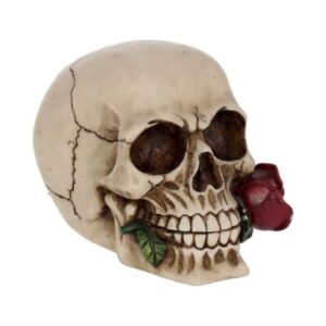Skulls/Skeletons