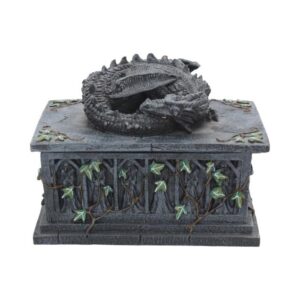 Dragon Tarot Card / Storage Box