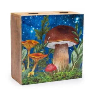 Mushroom Design Storage Box